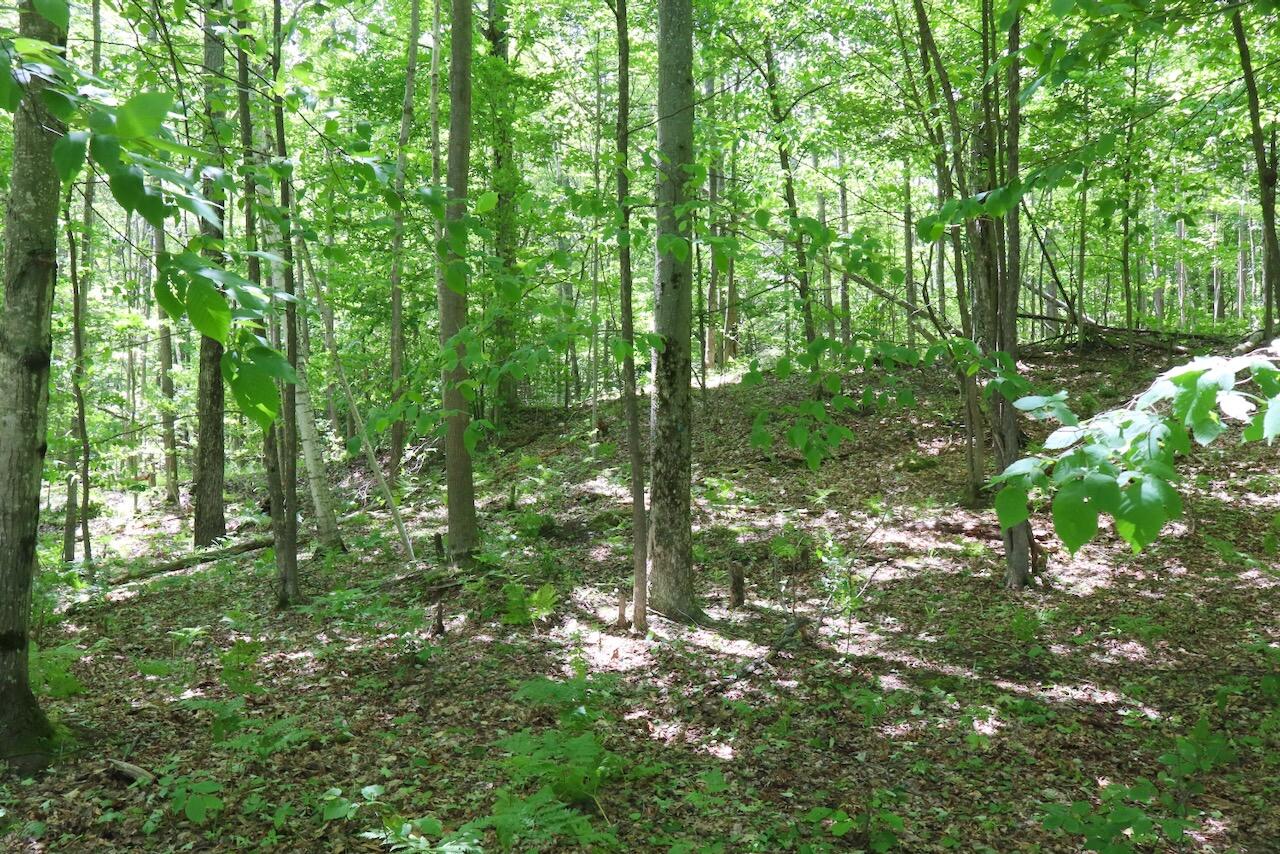 6182 Hamilton Road Harrison, MI 48625 - Photo 45 of 77