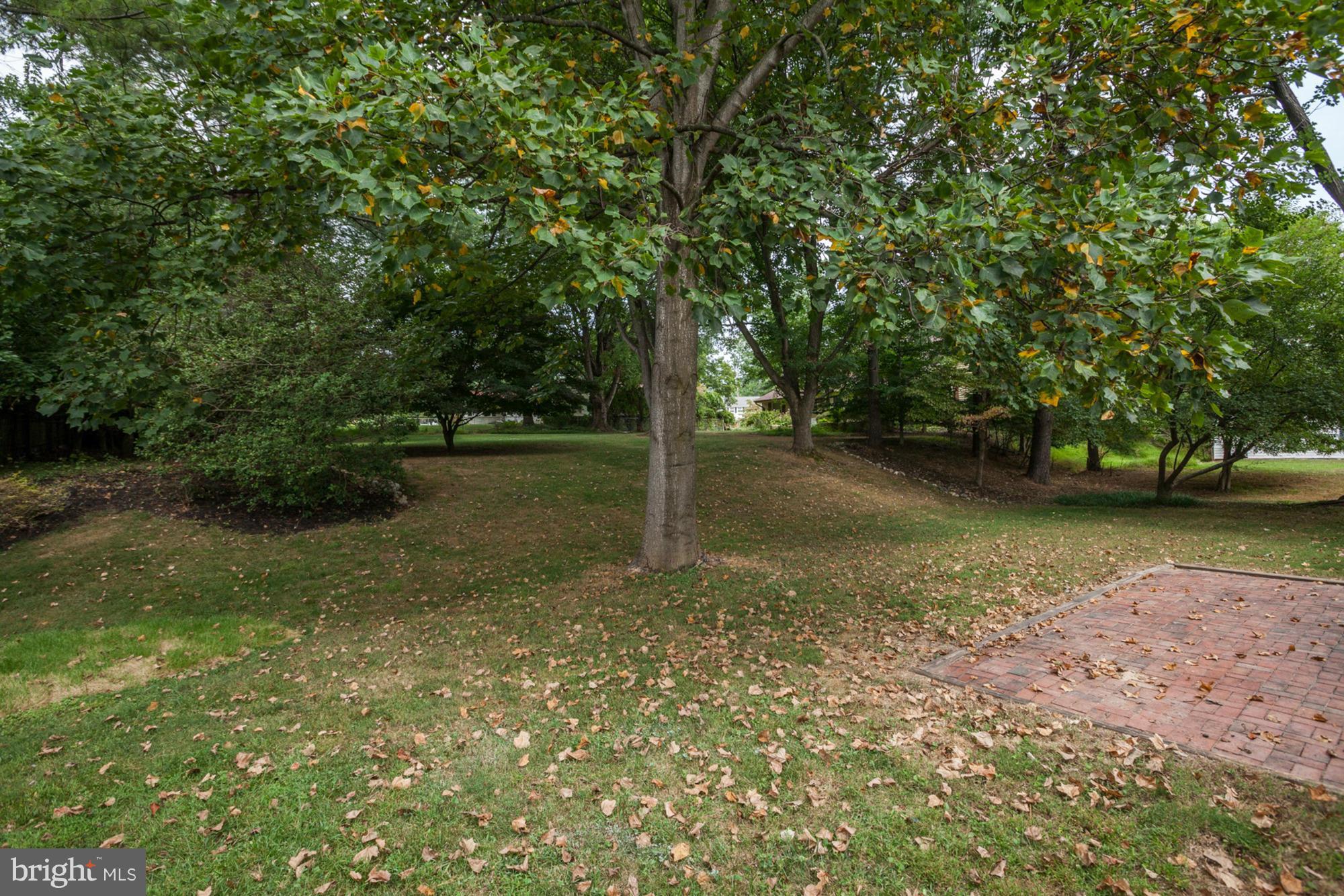 13808 Rippling Brook Drive Silver Spring, MD 20906 - Photo 17 of 17 Exterior (Rear)