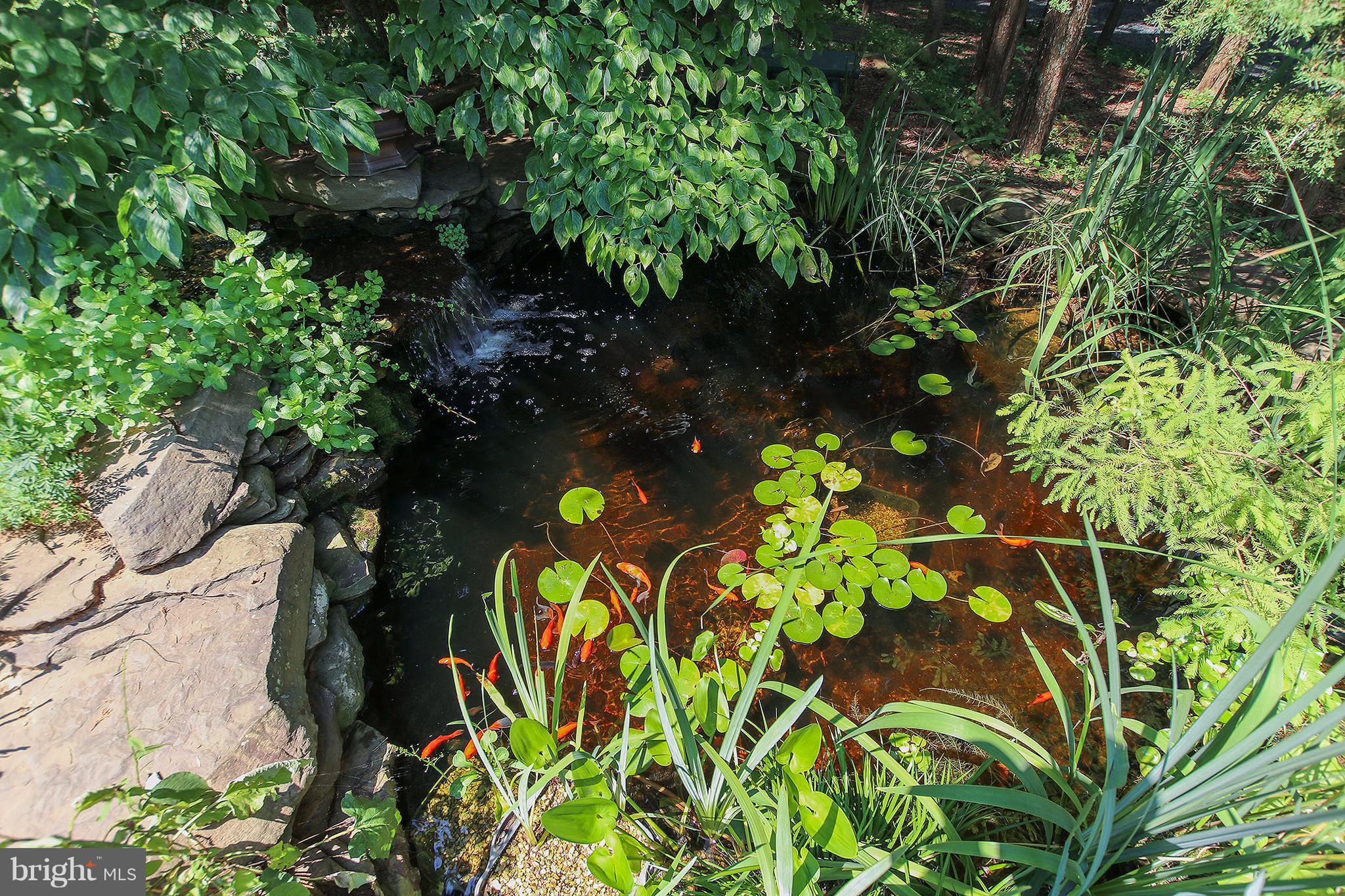13300 Loyalty Road Leesburg, VA 20176 - Photo 8 of 30 Two level fish and lilly pond