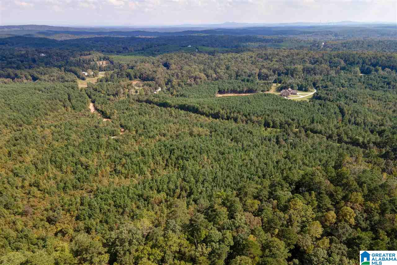 8967 Highway 55, Unit 2 & 3 Sterrett, AL 35147 - Photo 3 of 23