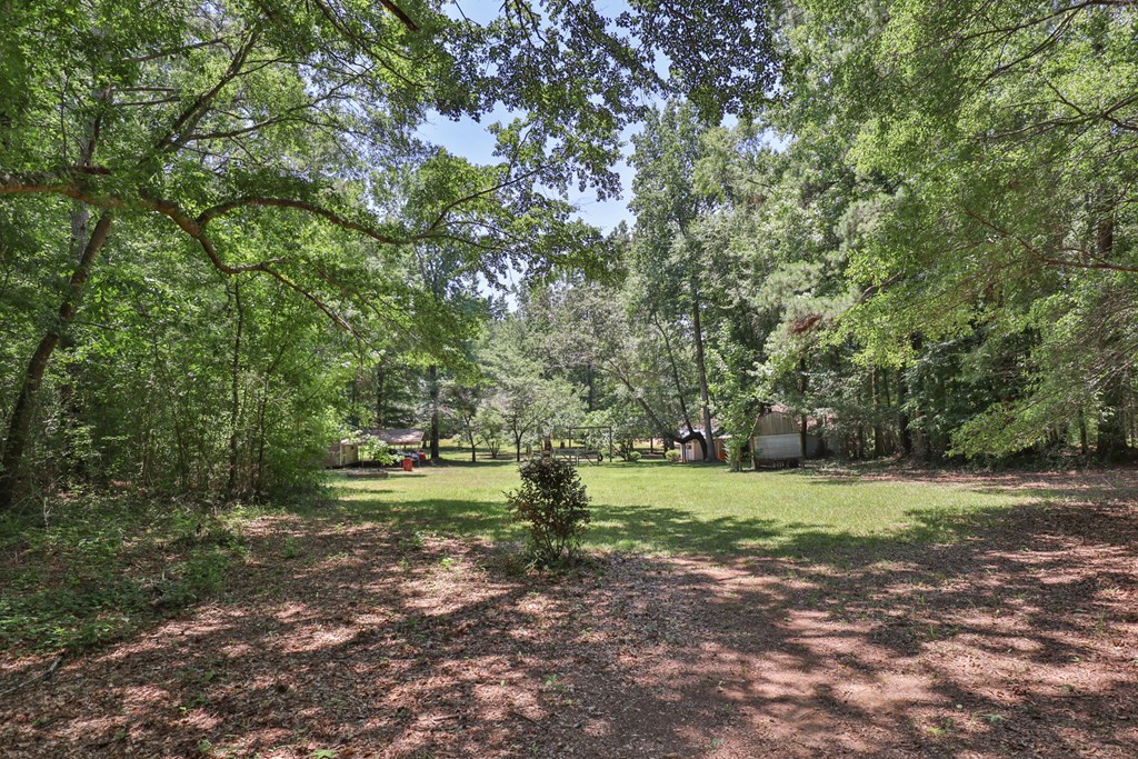 8530 Lower Blue Springs Road Hamilton, GA 31811 - Photo 12 of 34 Gallery Image 12