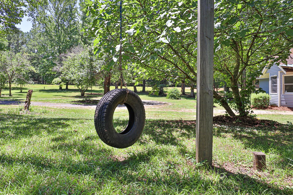 8530 Lower Blue Springs Road Hamilton, GA 31811 - Photo 8 of 34 Tire swing waiting to be used!