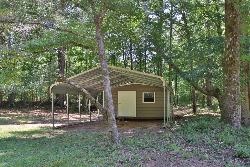 8530 Lower Blue Springs Road Hamilton, GA 31811 - Photo 9 of 34 Great Storage and additional parking.