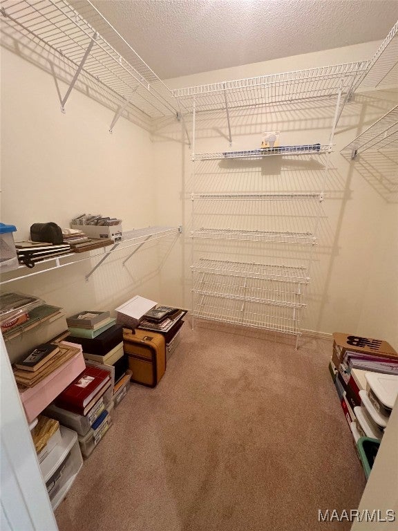 29990 Straughn School Road Andalusia, AL 36421 - Photo 12 of 37 Gallery Image 12