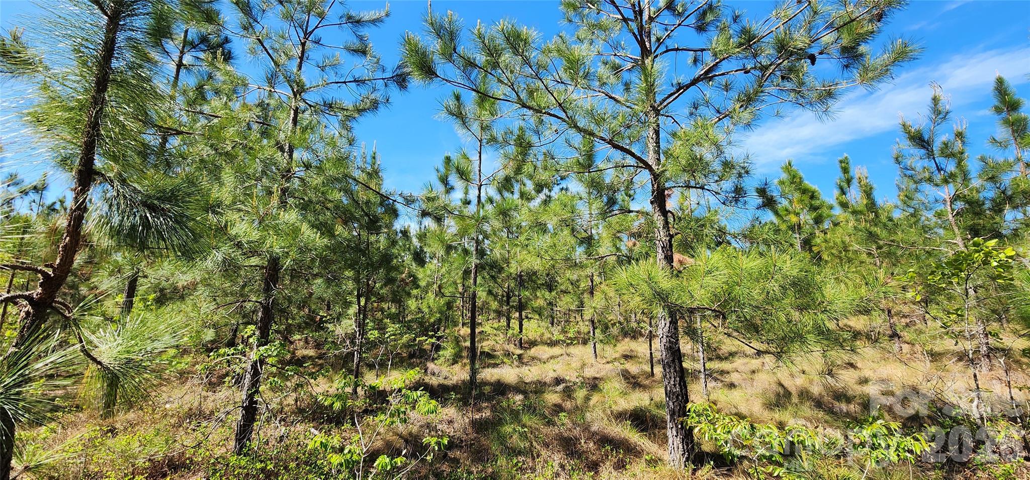 1045 McQueen Road Patrick, SC 29584 - Photo 19 of 32
