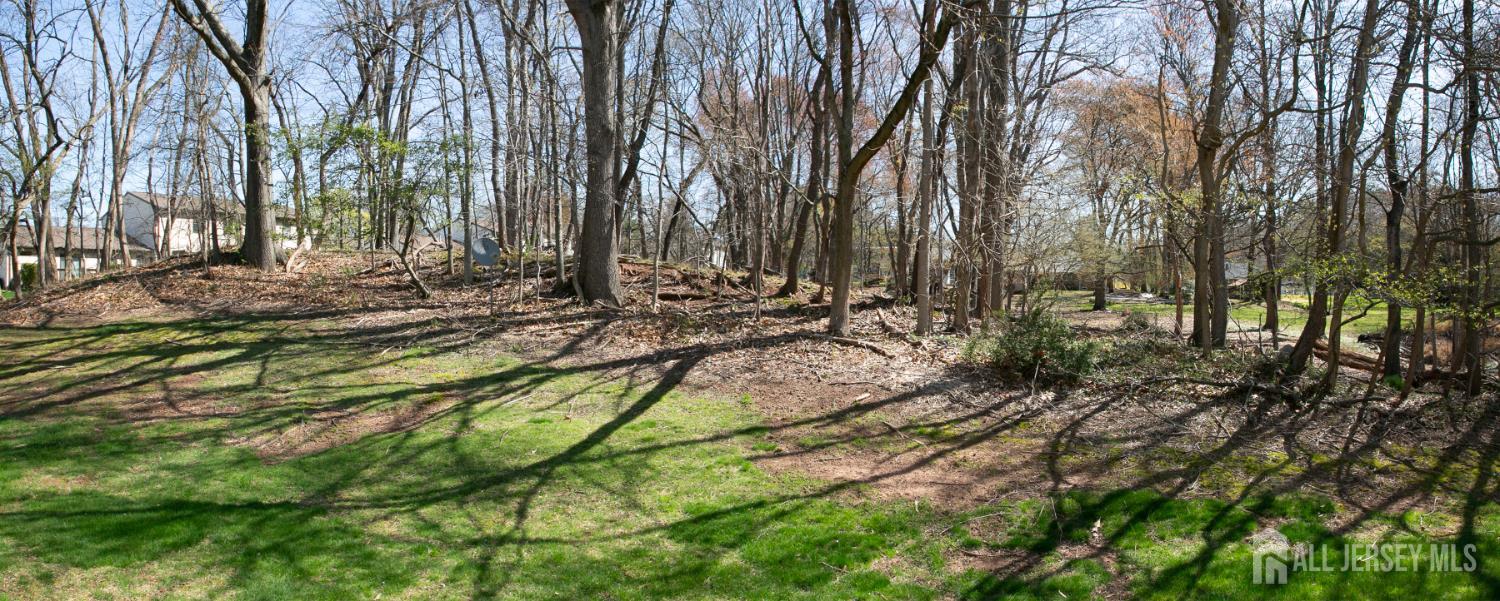 7 Cactus Court Edison, NJ 08820 - Photo 31 of 38 a view of a yard with plants and trees