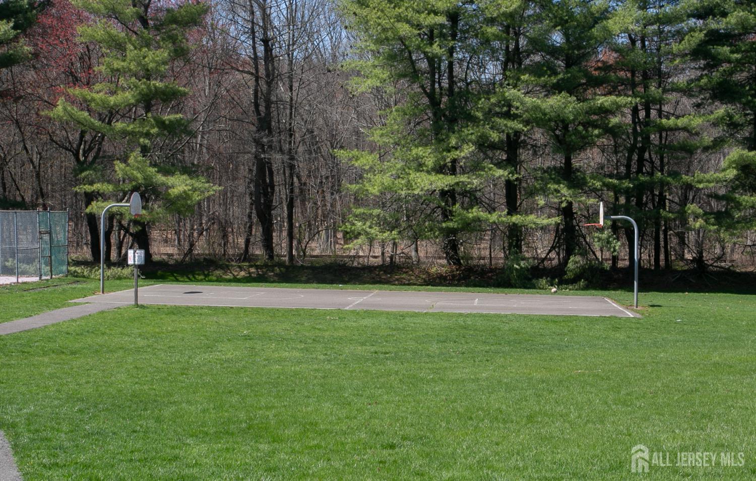 7 Cactus Court Edison, NJ 08820 - Photo 35 of 38 a view of a park with large trees