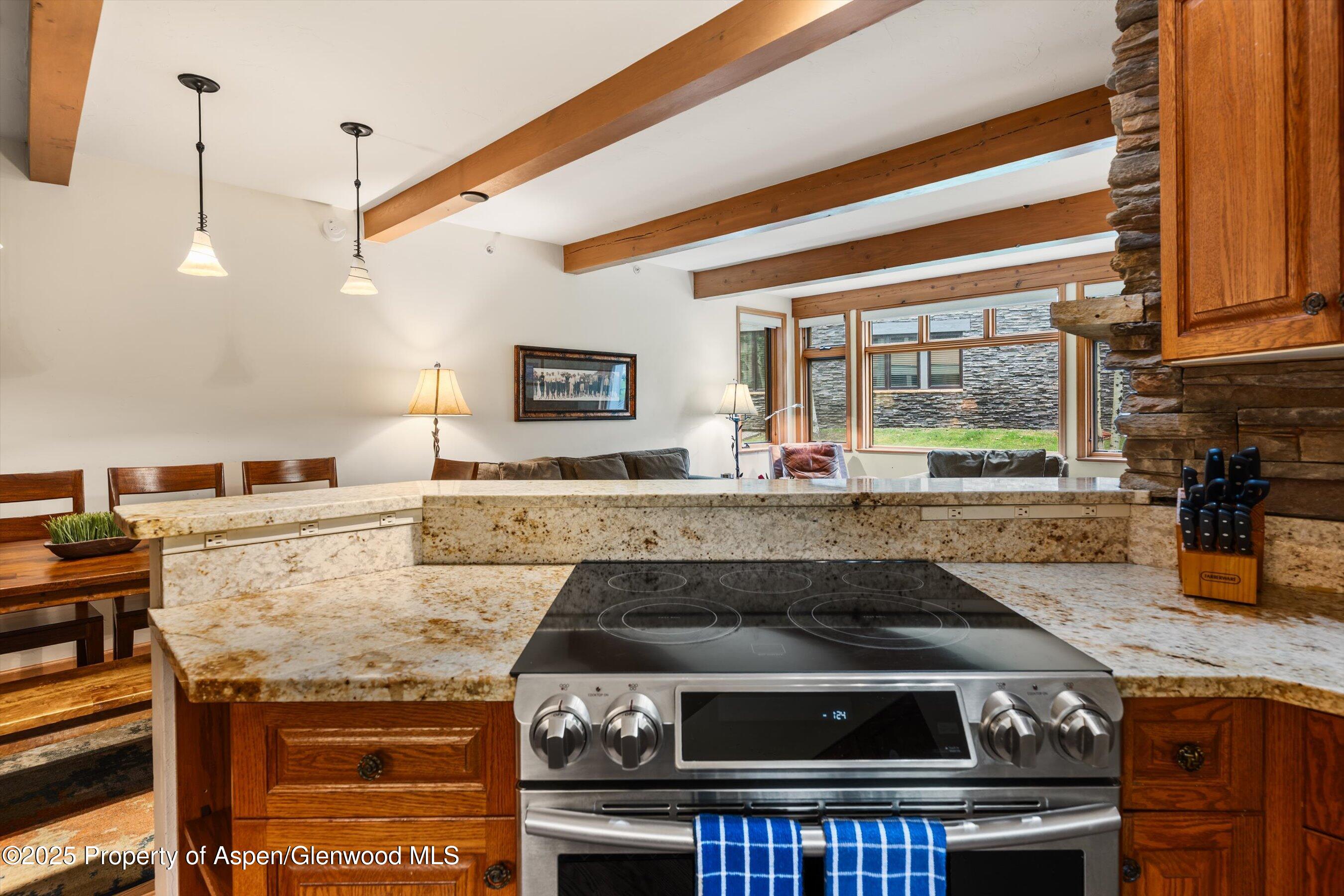 600 Carriage Way, Unit K9&10 Snowmass Village, CO 81615 - Photo 11 of 37 18-600CarraigeWayK9_1025091118