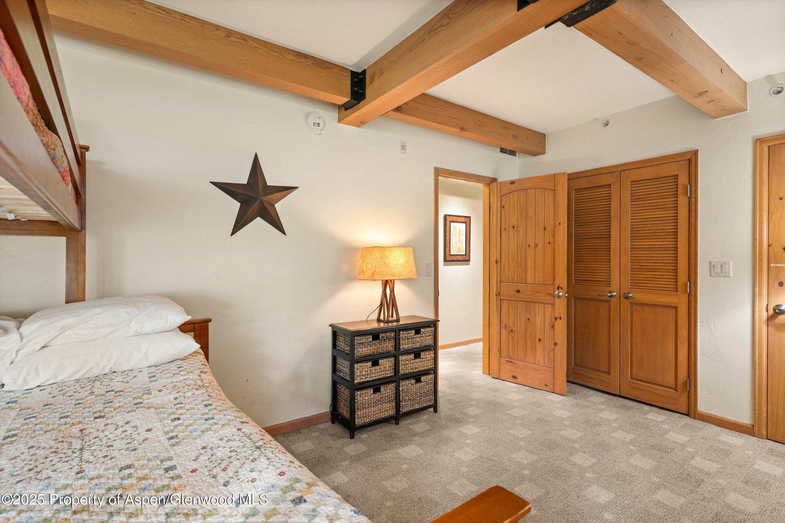600 Carriage Way, Unit K9&10 Snowmass Village, CO 81615 - Photo 20 of 37 28-600CarraigeWayK9_1025091128