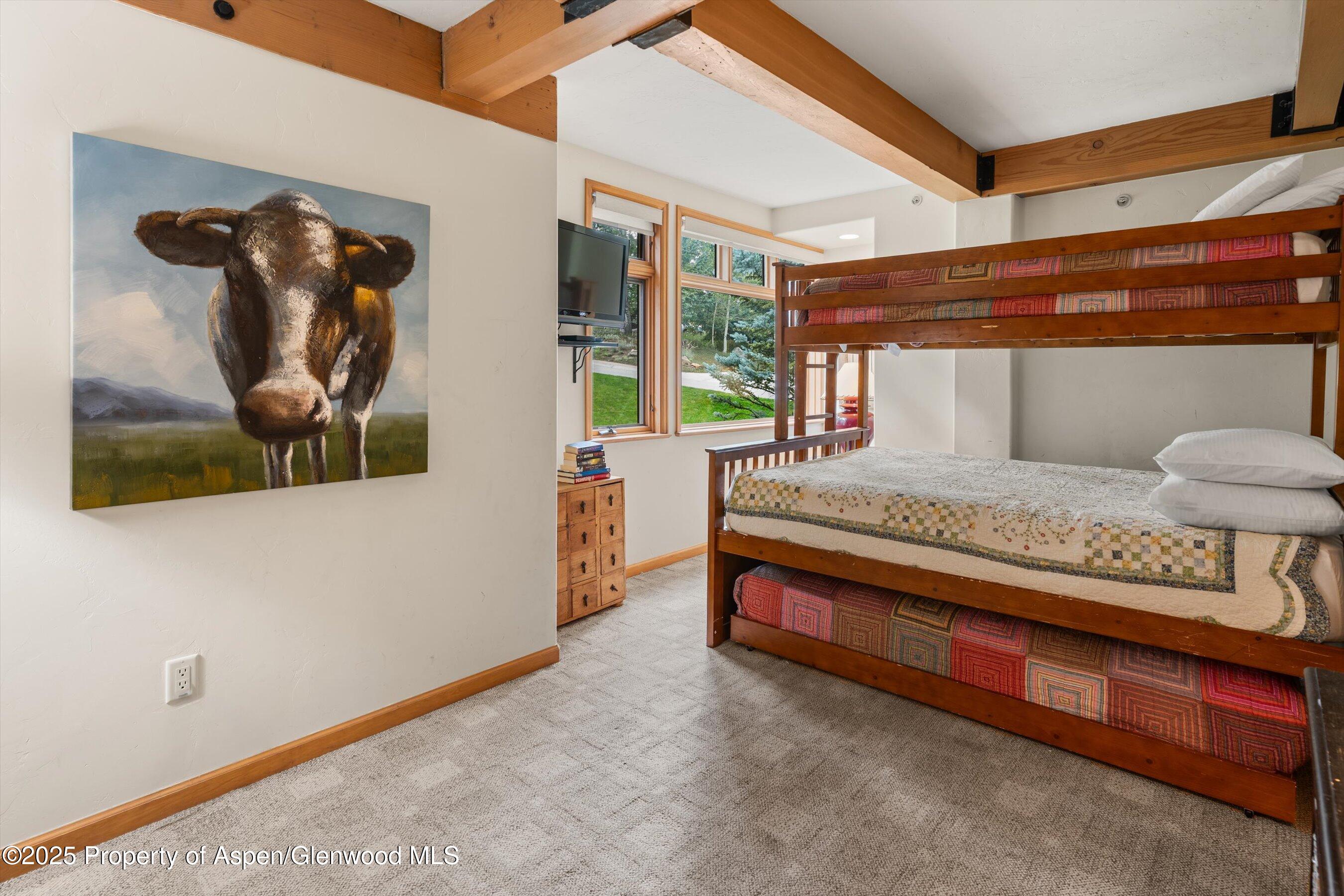 600 Carriage Way, Unit K9&10 Snowmass Village, CO 81615 - Photo 21 of 37 27-600CarraigeWayK9_1025091127