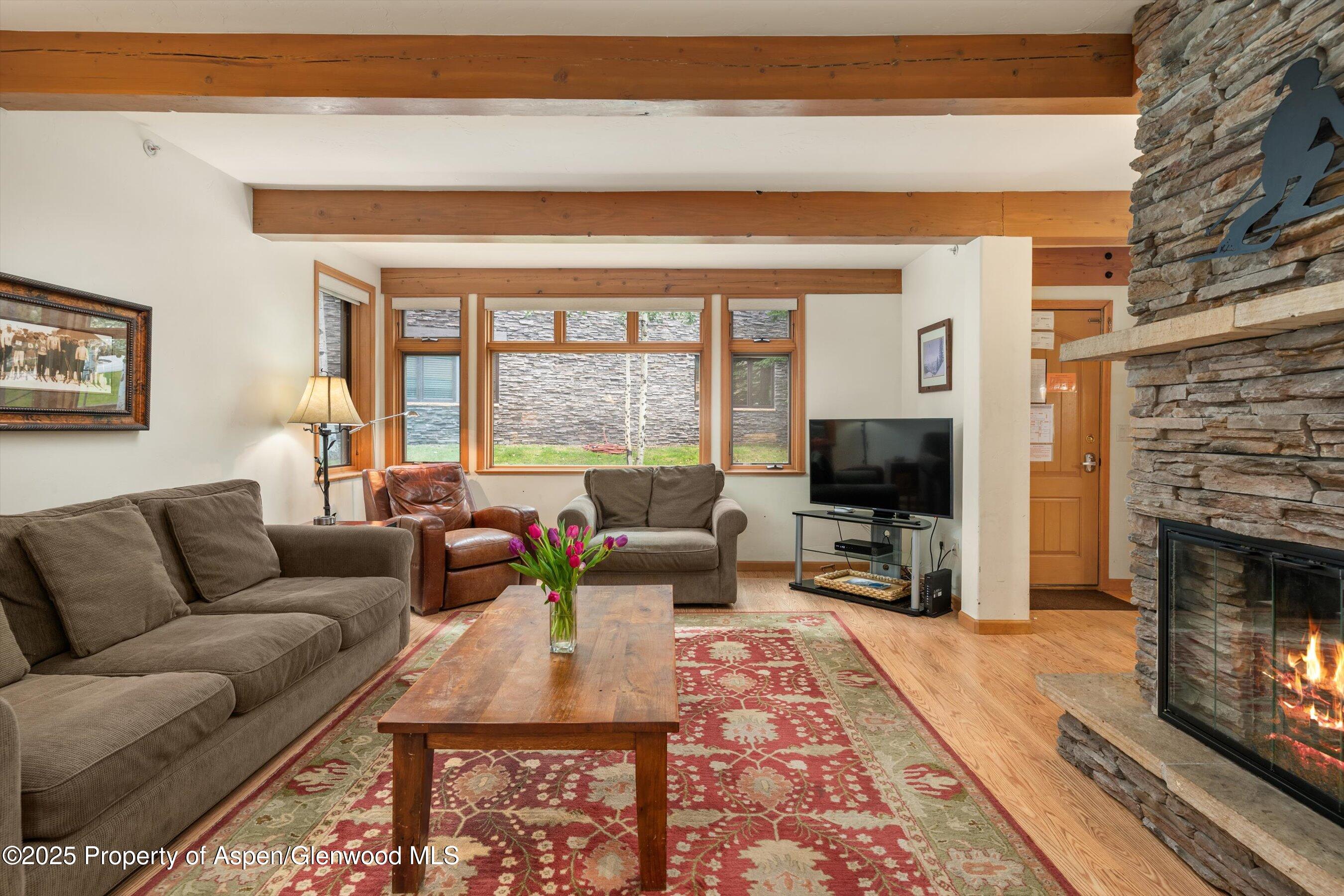600 Carriage Way, Unit K9&10 Snowmass Village, CO 81615 - Photo 4 of 37 11-600CarraigeWayK9_1025091111