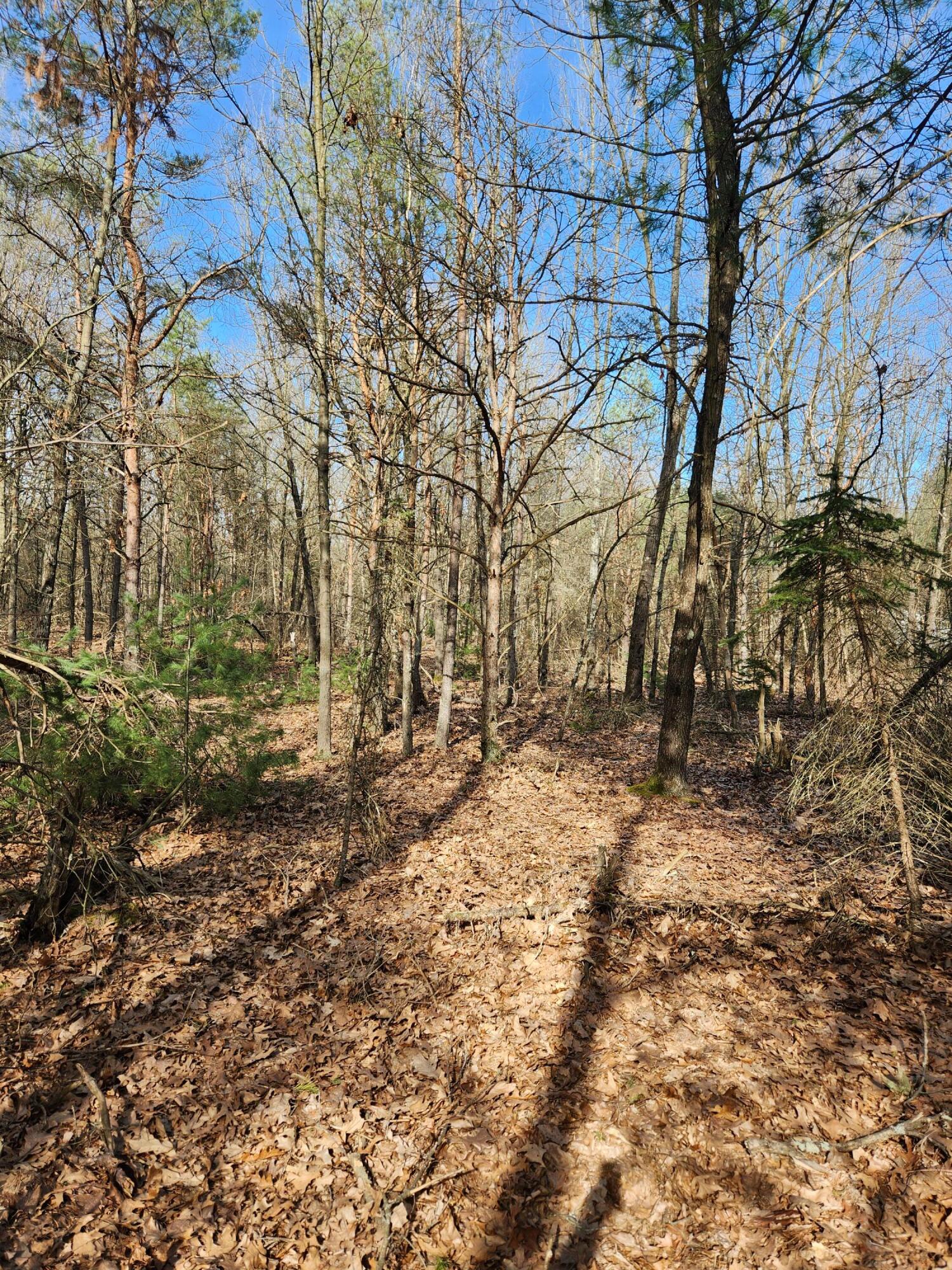 10349 Stakes Road Greenville, MI 48838 - Photo 3 of 4 20250321_164818