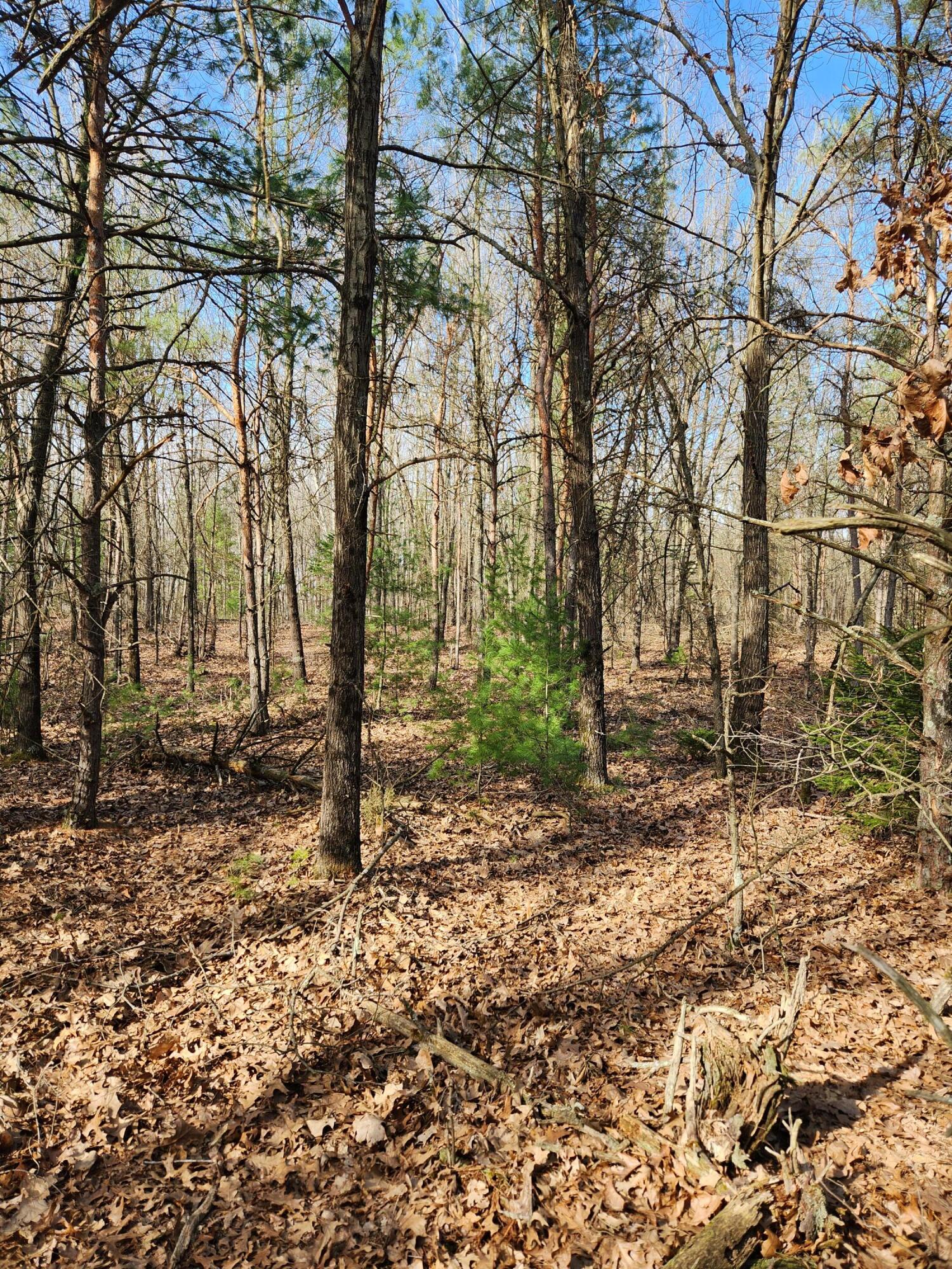 10349 Stakes Road Greenville, MI 48838 - Photo 4 of 4 20250321_164830