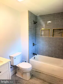 a bathroom with a toilet and a bathtub