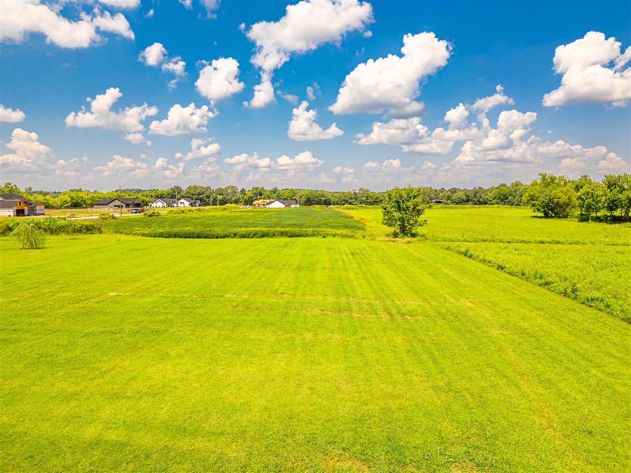 820 Plainview Ch Road Russellville, KY 42276 - Photo 14 of 50 Gallery Image 14
