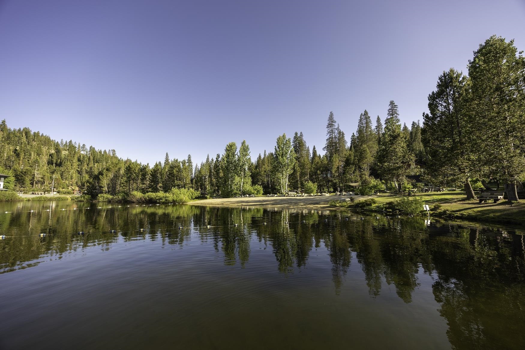 1023 Serene Road Soda Springs, CA 95728 - Photo 8 of 25