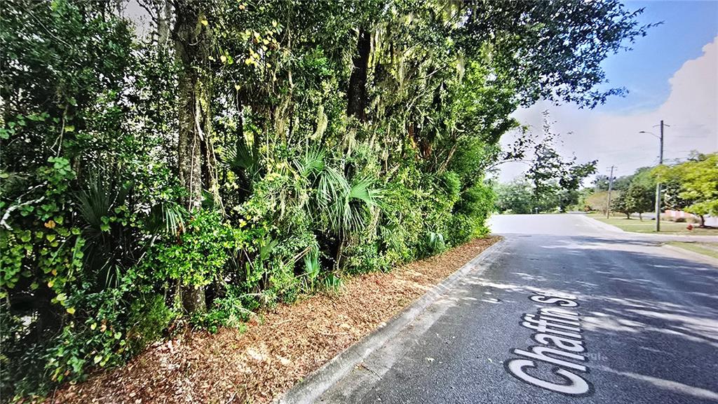 0 Seminole Street Milton, FL 32570 - Photo 3 of 4 a view of a street with a tree