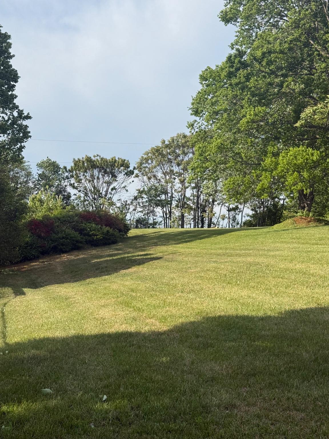 13420 Chestnut Fork Road Culpeper, VA 22701 - Photo 6 of 19