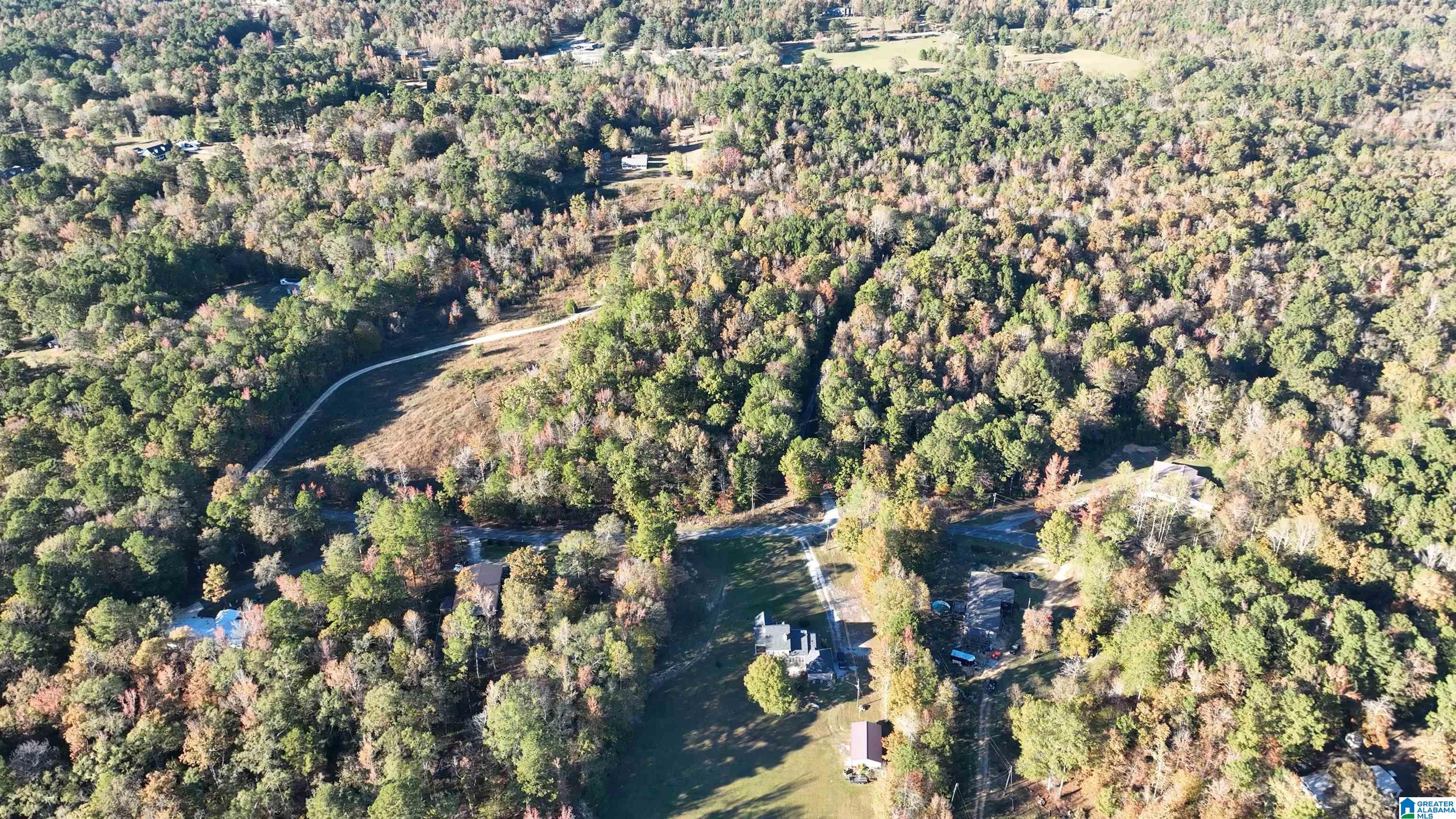 0 Waldrop Road, Unit 10 82 ACRES Ashville, AL 35953 - Photo 4 of 22