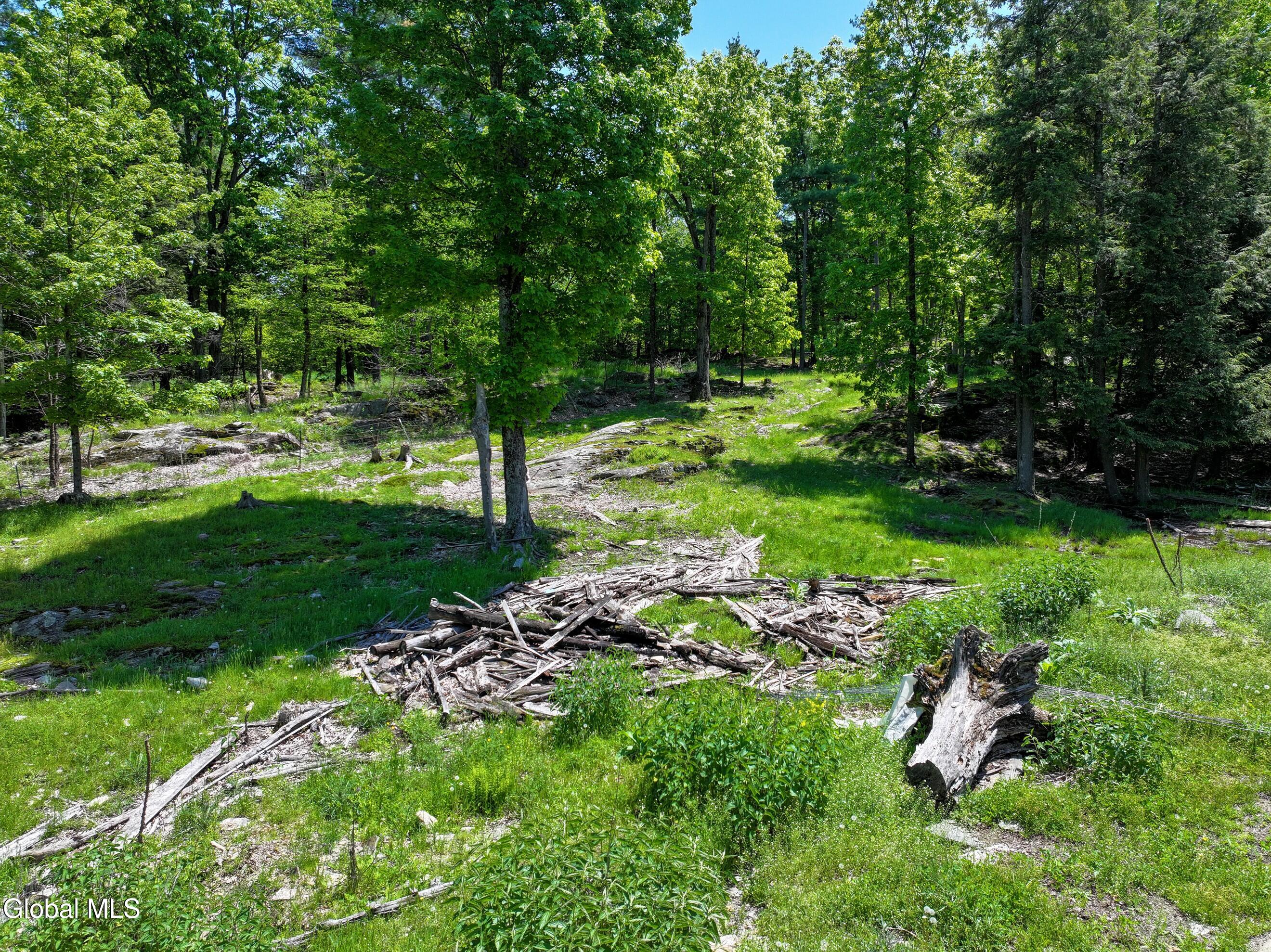 1710 Truthville Road Whitehall, NY 12887 - Photo 50 of 59 DJI_20260526125614_0129_D-2 (Copy)