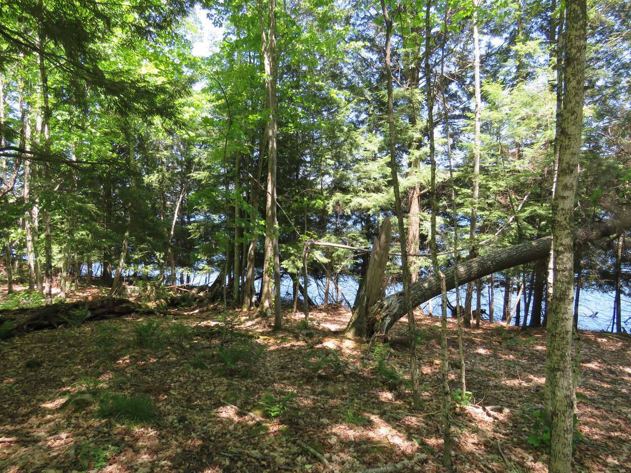 On Hewitt Road, Unit LOT31 Mercer, WI 54547 - Photo 11 of 16 Gallery Image 11