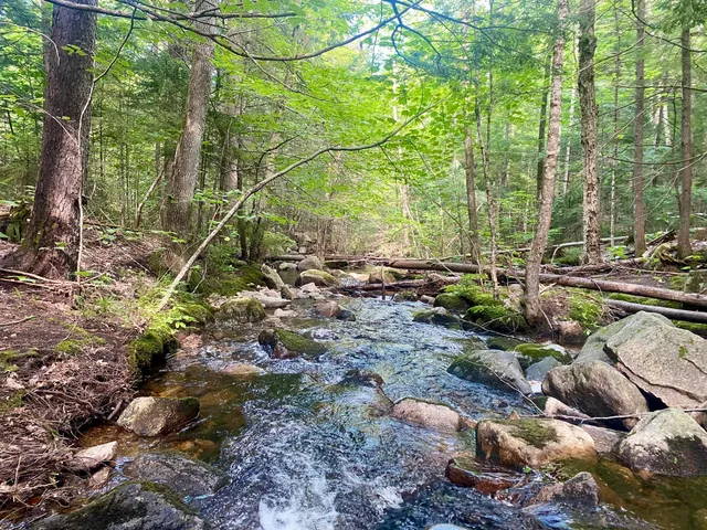 $375,000 | 2-4 Willis Bean Road, Center Conway, NH 03813