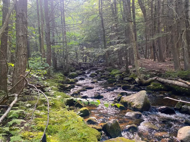 $375,000 | 2-4 Willis Bean Road, Center Conway, NH 03813