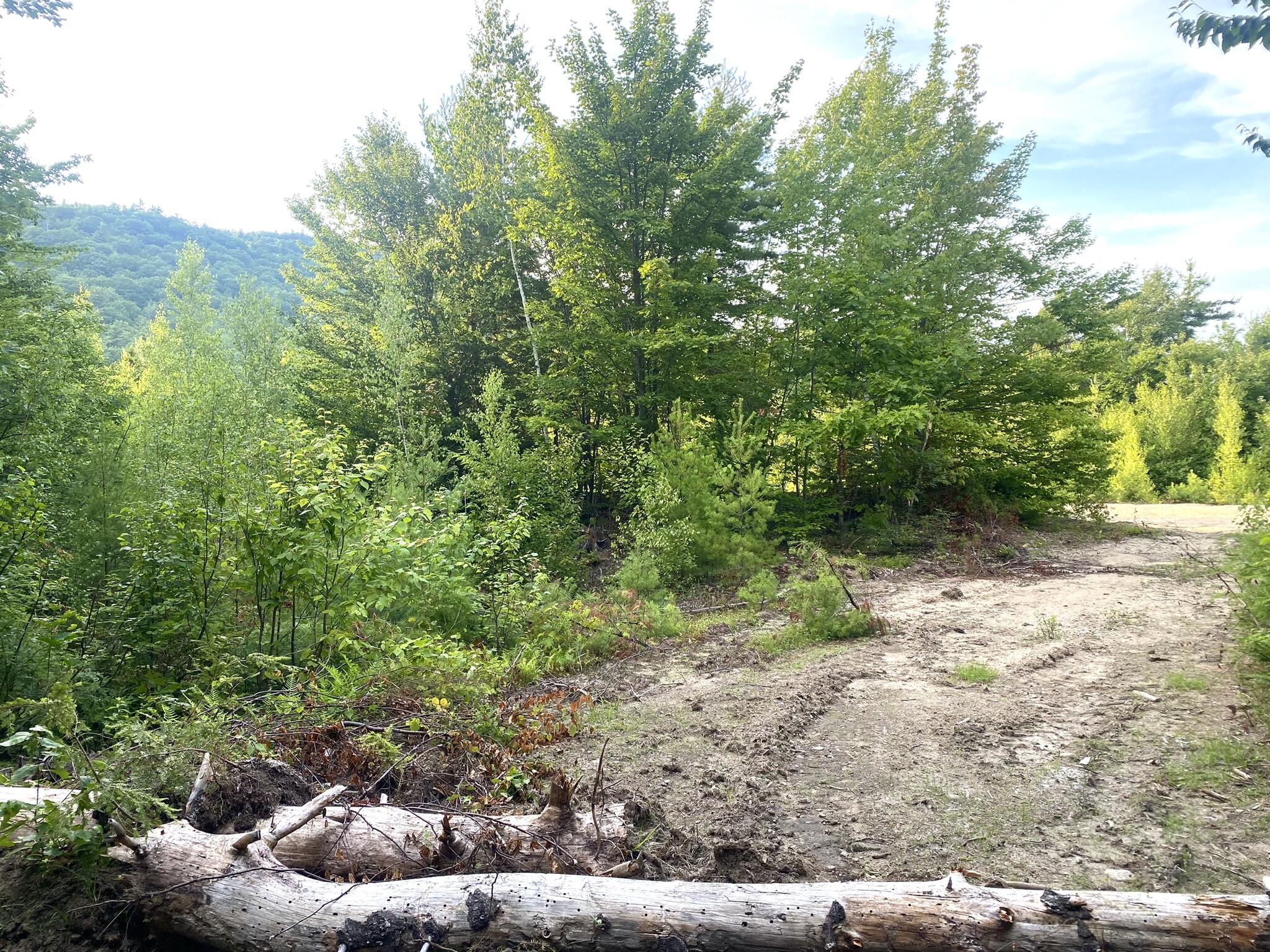 2-4 Willis Bean Road Center Conway, NH 03813 - Photo 2 of 63 IMG_7590