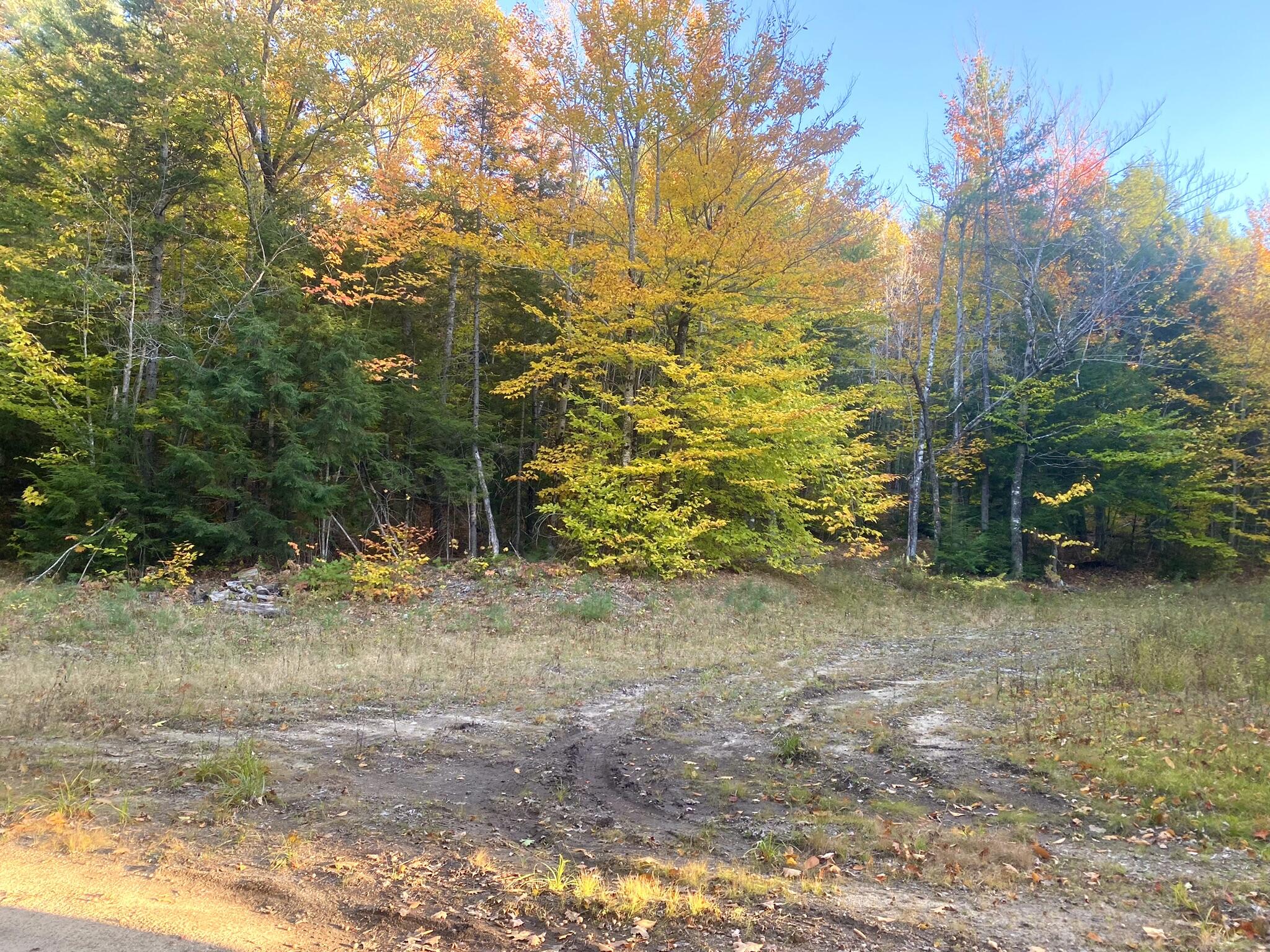 2-4 Willis Bean Road Center Conway, NH 03813 - Photo 23 of 63 IMG_9075