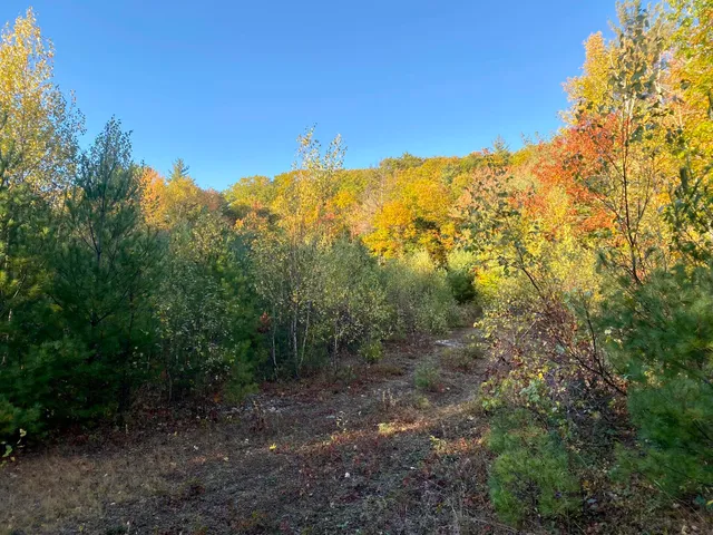 $375,000 | 2-4 Willis Bean Road, Center Conway, NH 03813