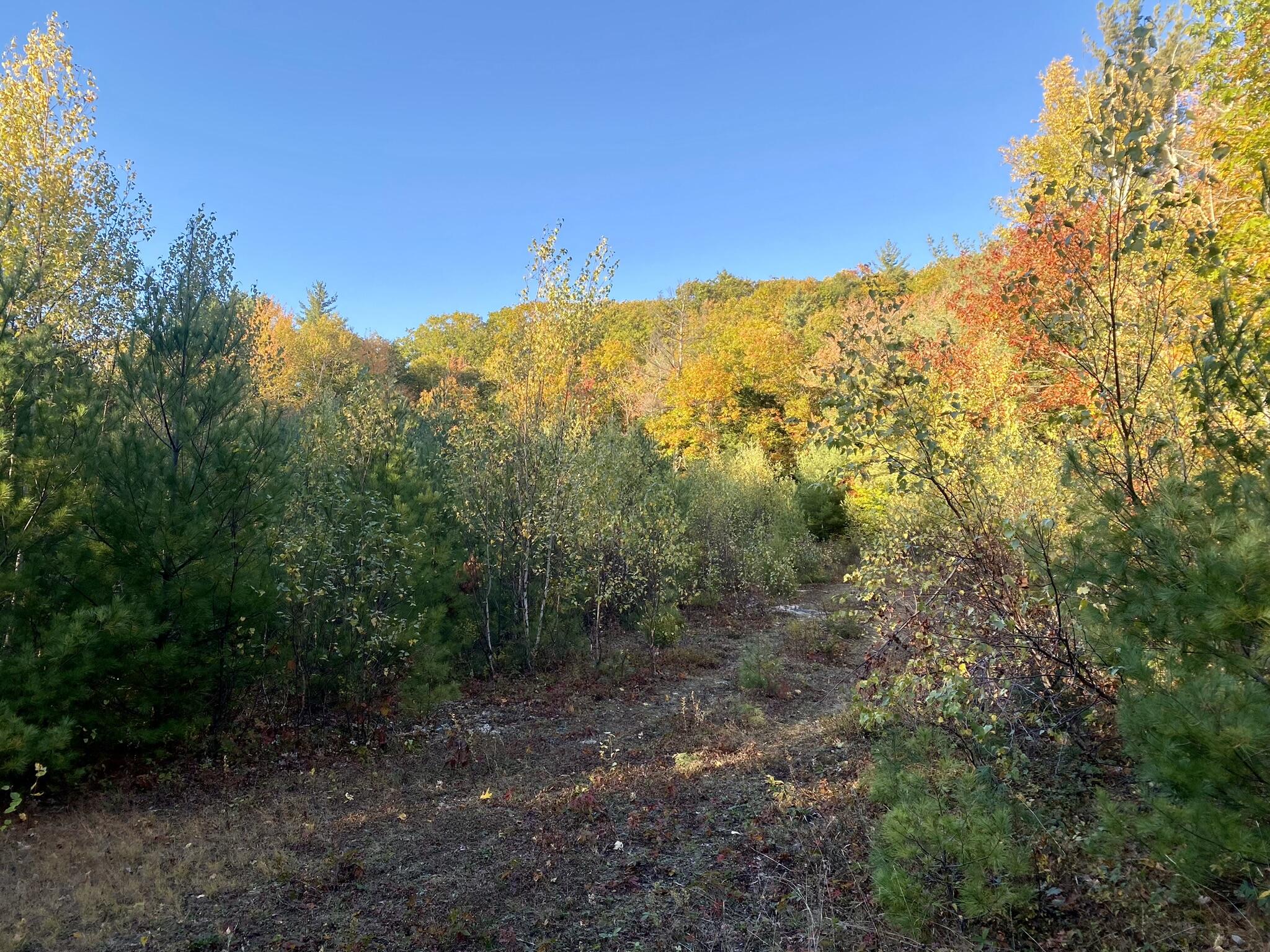 2-4 Willis Bean Road Center Conway, NH 03813 - Photo 24 of 63 IMG_9056