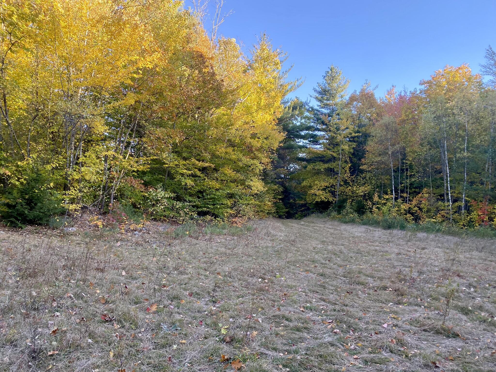 2-4 Willis Bean Road Center Conway, NH 03813 - Photo 27 of 63 IMG_9052