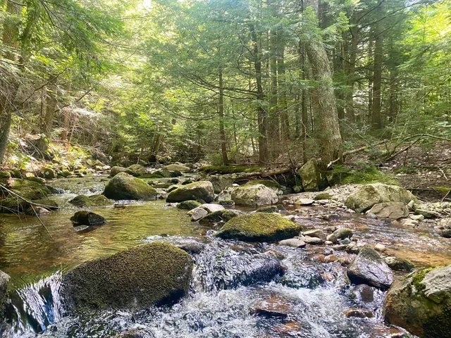 $375,000 | 2-4 Willis Bean Road, Center Conway, NH 03813