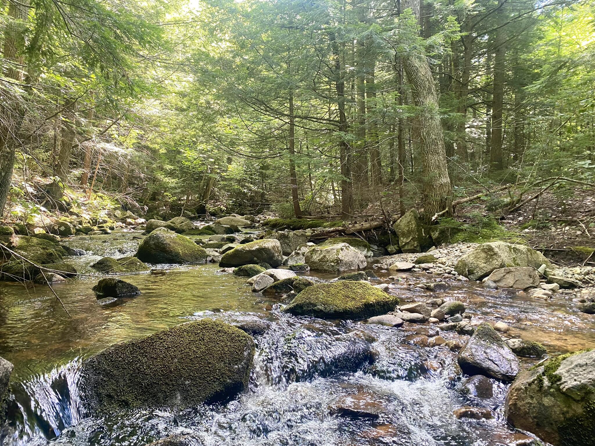 2-4 Willis Bean Road Center Conway, NH 03813 - Photo 28 of 63 IMG_7816