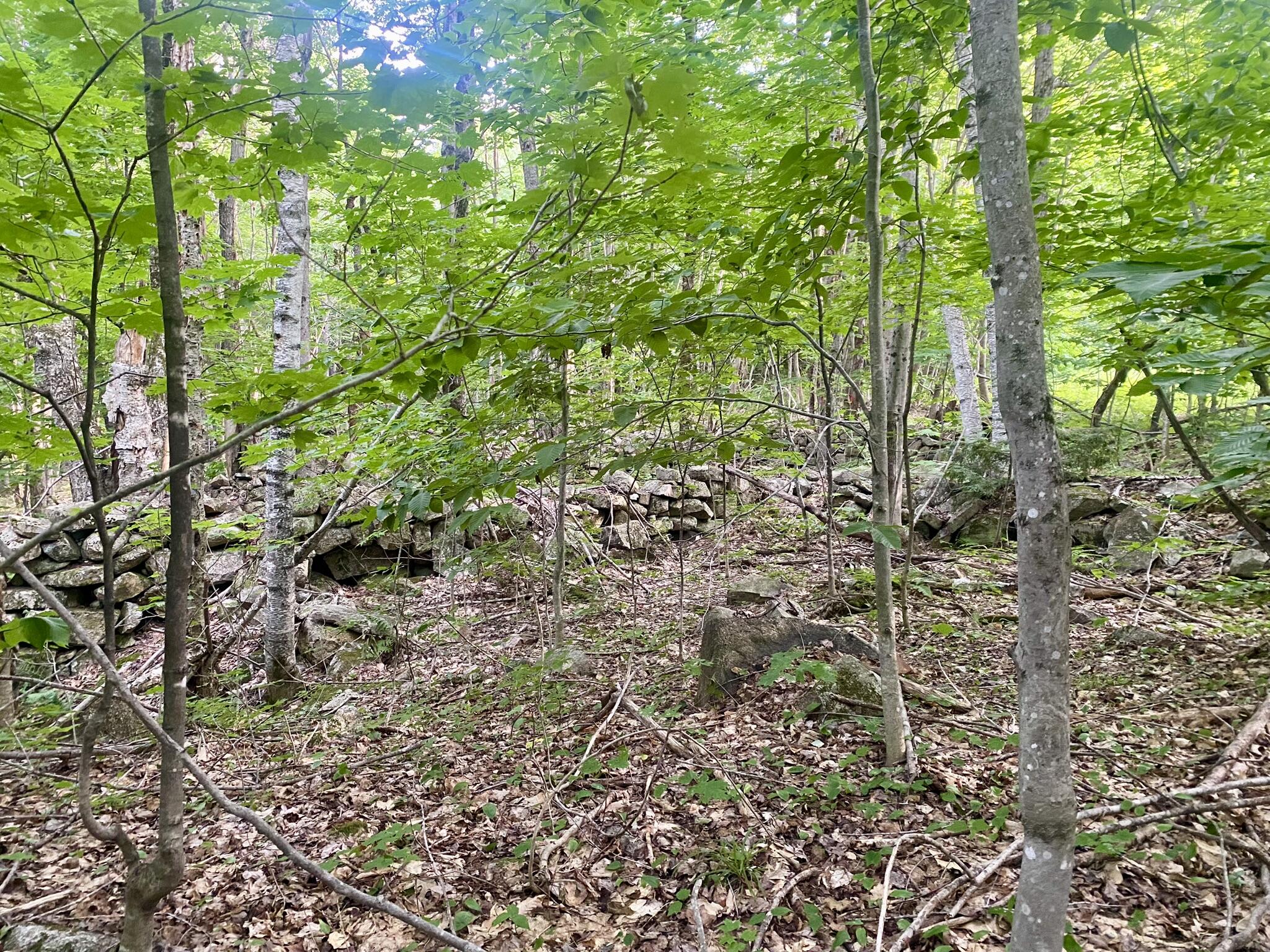 2-4 Willis Bean Road Center Conway, NH 03813 - Photo 30 of 63 IMG_7546