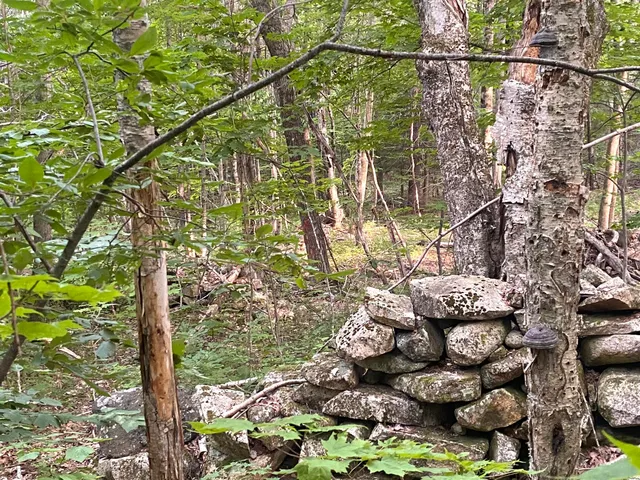 $375,000 | 2-4 Willis Bean Road, Center Conway, NH 03813