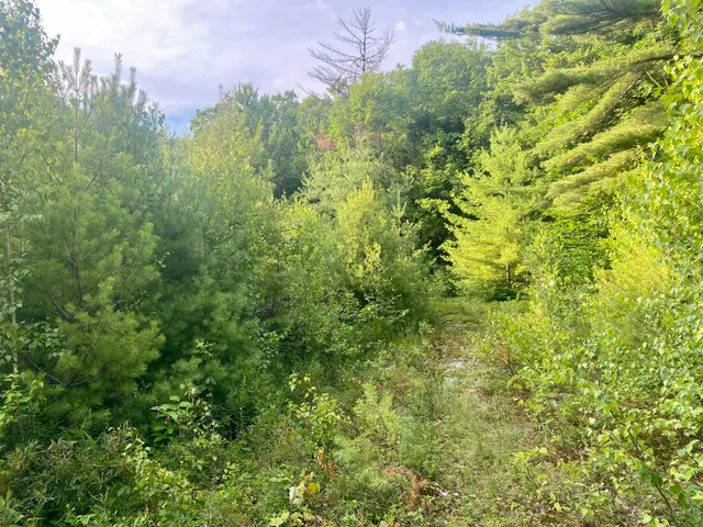 $375,000 | 2-4 Willis Bean Road, Center Conway, NH 03813