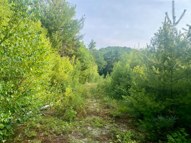 $375,000 | 2-4 Willis Bean Road, Center Conway, NH 03813