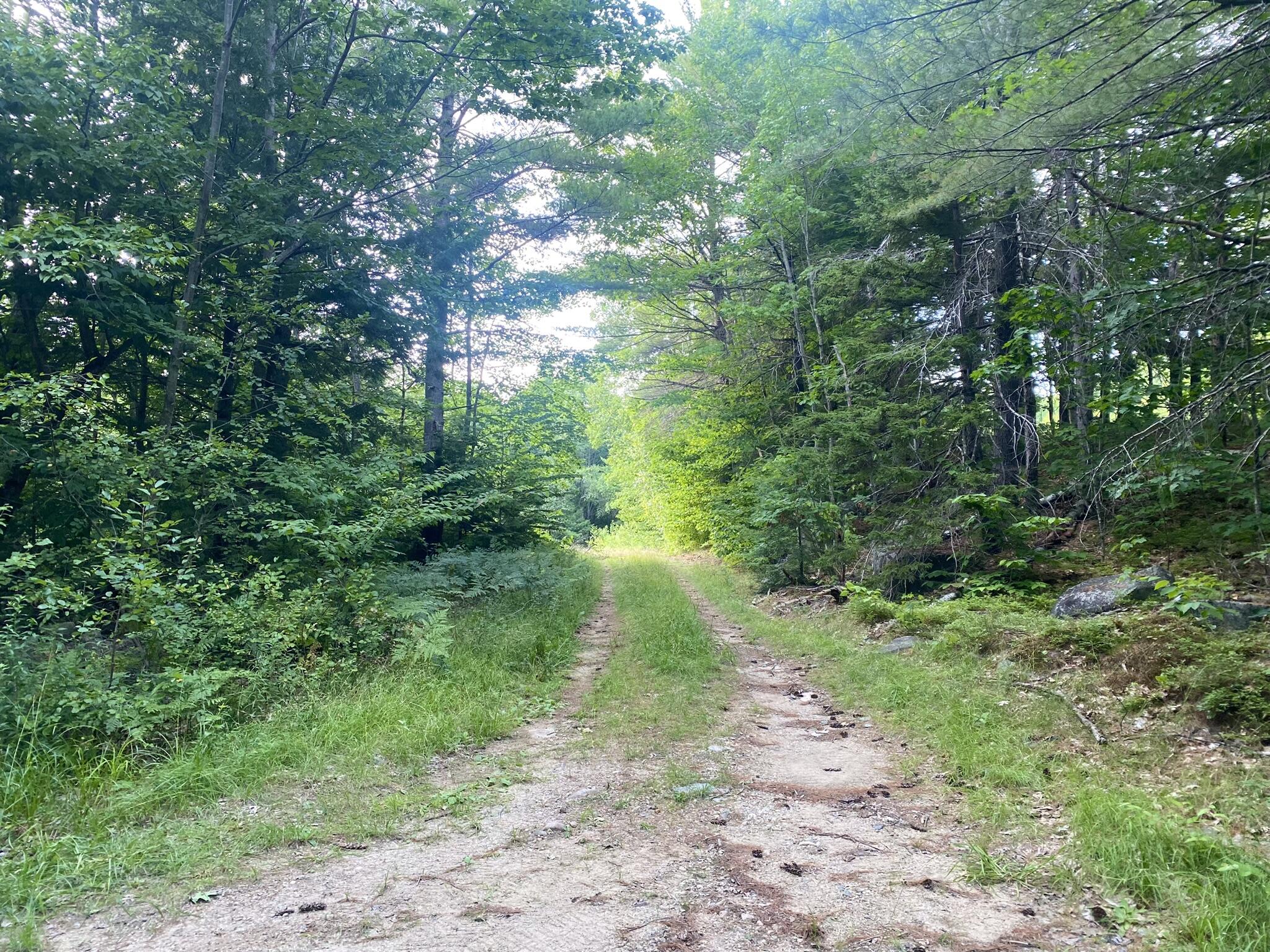 2-4 Willis Bean Road Center Conway, NH 03813 - Photo 44 of 63 IMG_7579