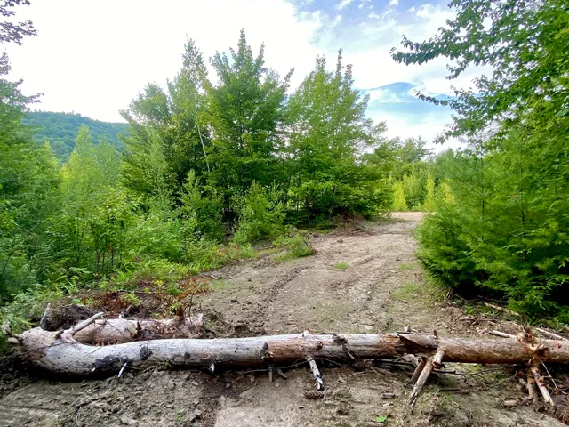 $375,000 | 2-4 Willis Bean Road, Center Conway, NH 03813