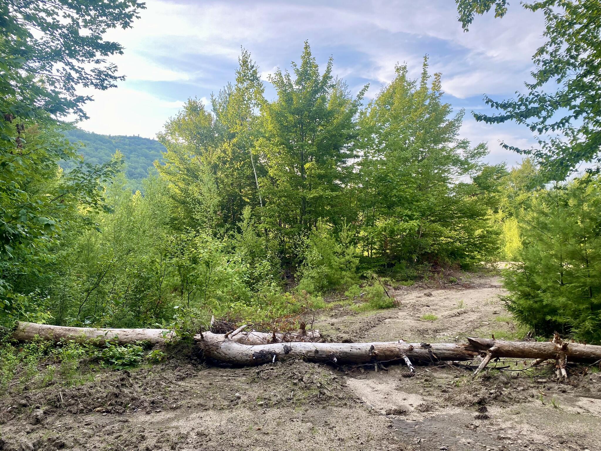 2-4 Willis Bean Road Center Conway, NH 03813 - Photo 50 of 63 IMG_7593