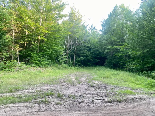 $375,000 | 2-4 Willis Bean Road, Center Conway, NH 03813