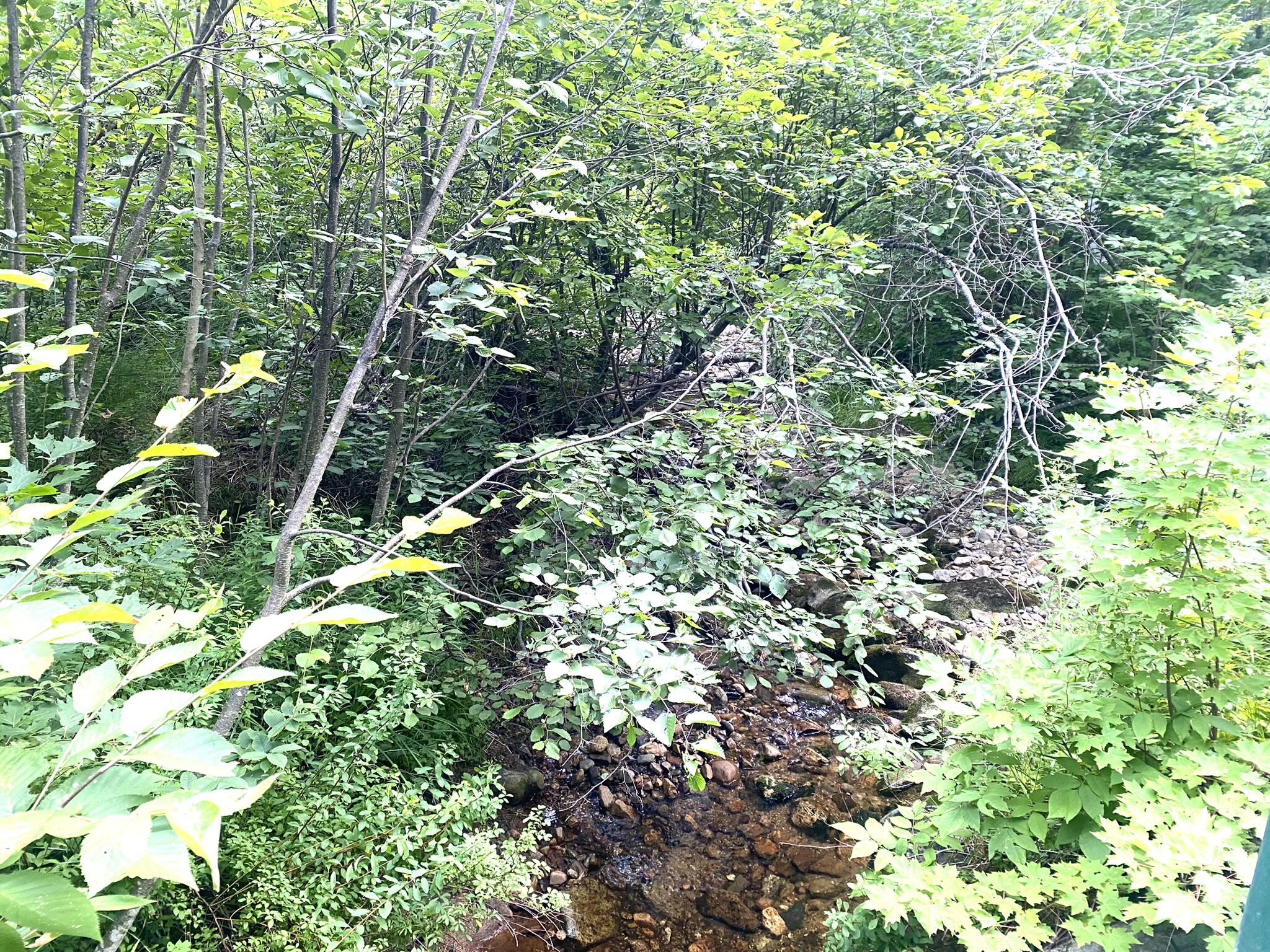 2-4 Willis Bean Road Center Conway, NH 03813 - Photo 53 of 63 IMG_7608