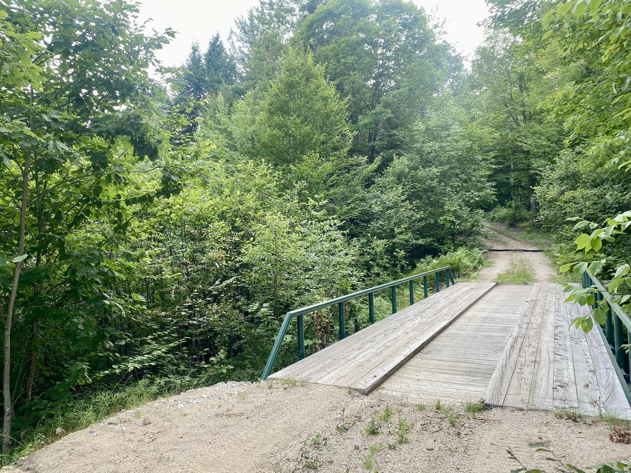 2-4 Willis Bean Road Center Conway, NH 03813 - Photo 54 of 63 IMG_7609