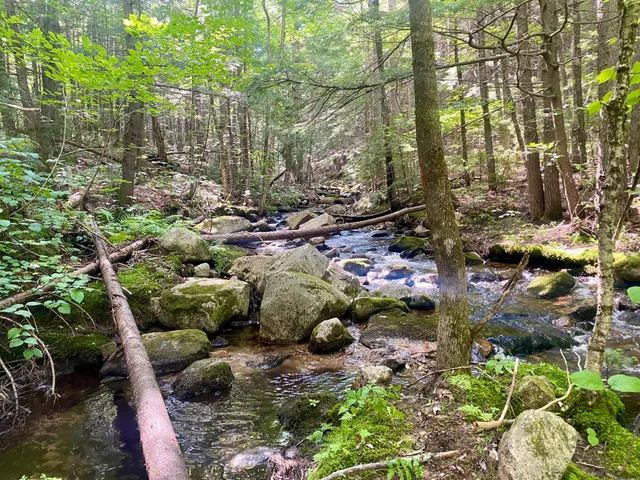 $375,000 | 2-4 Willis Bean Road, Center Conway, NH 03813