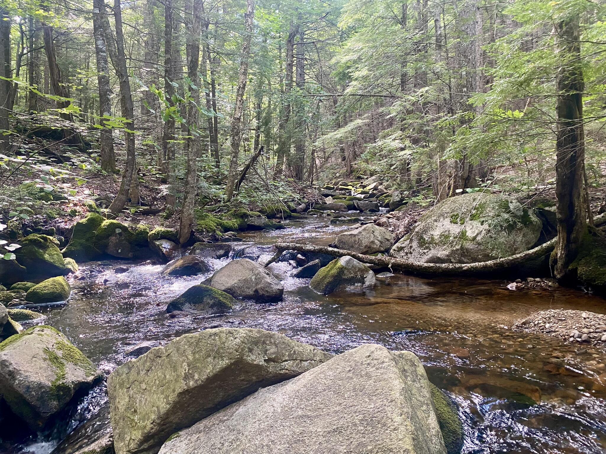 2-4 Willis Bean Road Center Conway, NH 03813 - Photo 57 of 63 IMG_7812