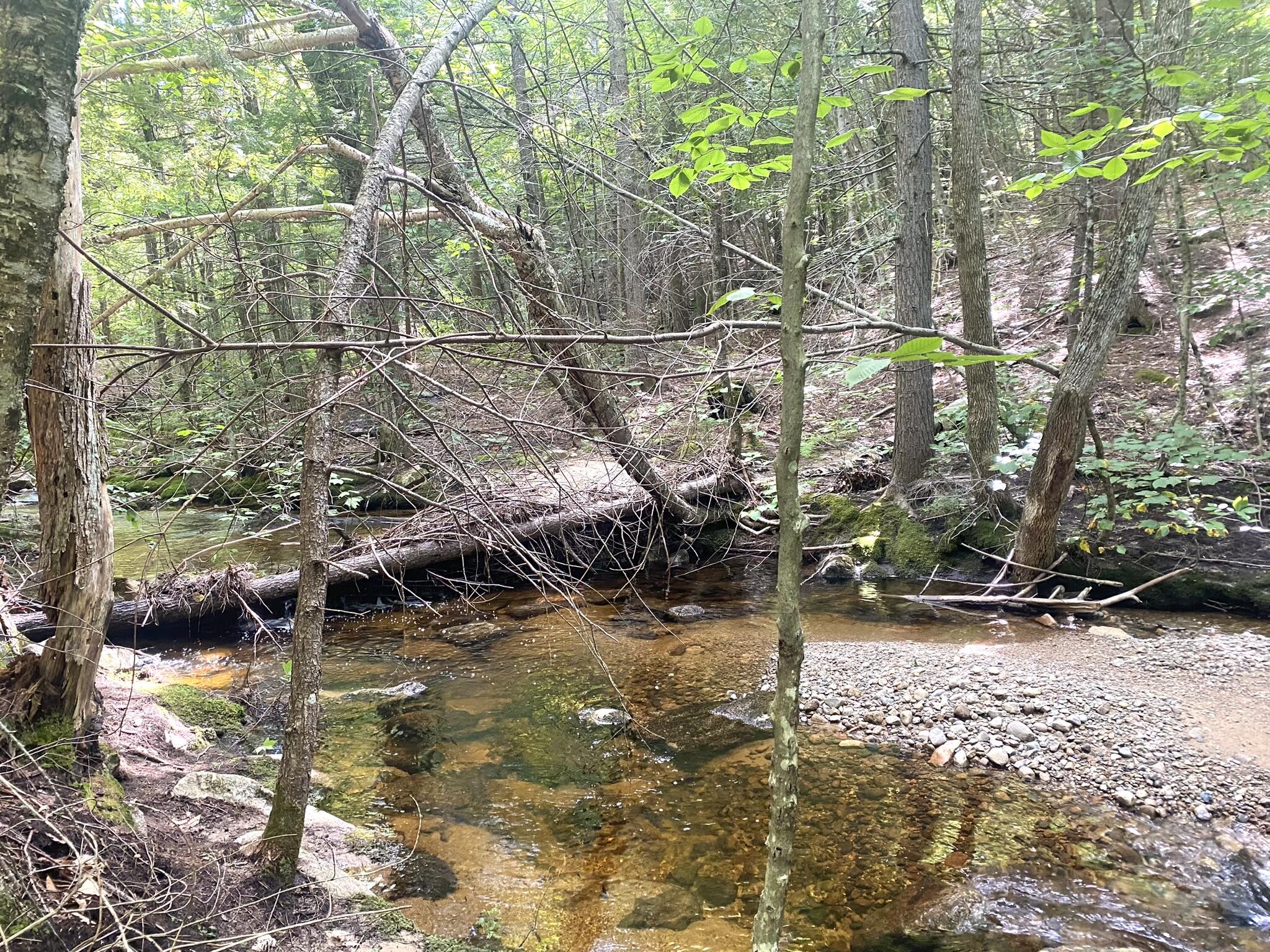 2-4 Willis Bean Road Center Conway, NH 03813 - Photo 58 of 63 IMG_7830