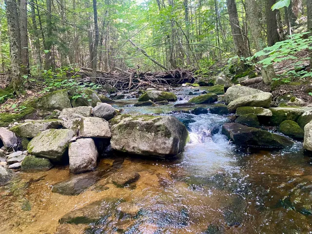 $375,000 | 2-4 Willis Bean Road, Center Conway, NH 03813