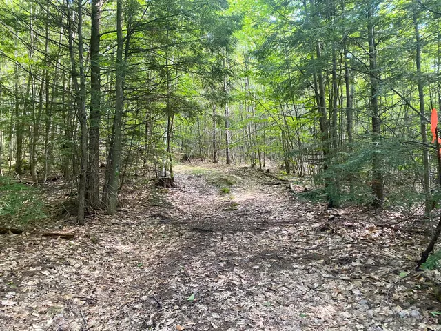 $375,000 | 2-4 Willis Bean Road, Center Conway, NH 03813