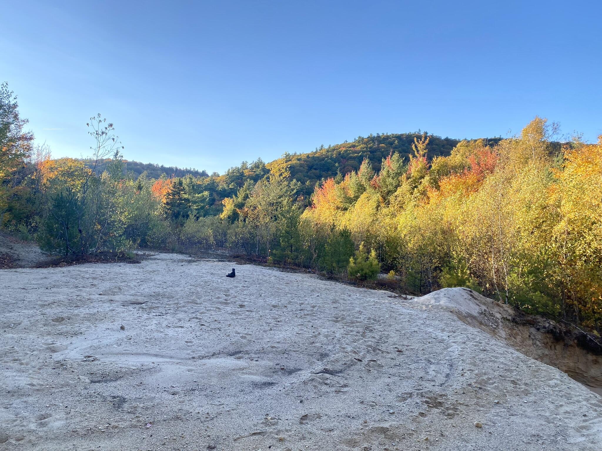 2-4 Willis Bean Road Center Conway, NH 03813 - Photo 6 of 63 IMG_9067